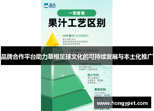 品牌合作平台助力草根足球文化的可持续发展与本土化推广